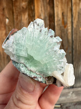 Load image into Gallery viewer, Light Mint Green Radial (Disco Ball) Apophyllite + Stilbite • Maharashtra, India

