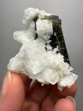 Load image into Gallery viewer, Blue Cap Dark Green Stak Nala Tourmaline on Cleavelandite Matrix – Haramosh Mountains, Pakistan
