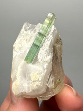 Load image into Gallery viewer, Lime Green Tourmaline on Matrix– Pegmatite Mineral Specimen from Pakistan
