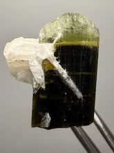 Load image into Gallery viewer, Green Cap Stak Nala Tourmaline with Cleavelandite – Haramosh Mountains, Pakistan | Thumbnail Specimen
