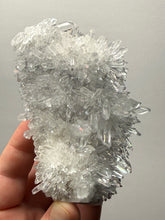Load image into Gallery viewer, High-Grade Chrysanthemum Quartz (Needle Quartz) Spray Cluster | Jiangxi, China
