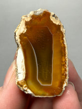 Load image into Gallery viewer, Premium Sumatra Agate (Banded Chalcedony) Display Specimen | Indonesia
