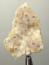 Load image into Gallery viewer, Blue-Green Chrysocolla in Botryoidal Chalcedony Cabinet Specimen | Indonesia
