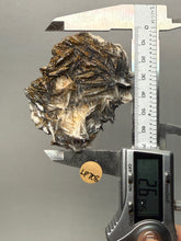 Load image into Gallery viewer, Natural Vanadinite on Matrix | Collector Mineral Specimen | Morocco
