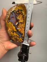 Load image into Gallery viewer, MUSEUM Turkish Agate with Intriguing Inclusions – Great Sticks, Banding and Eyes - Turkey
