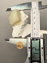 Load image into Gallery viewer, Rare Druzy Golden “Diamond” Calcite on Zeolite Matrix — Maharashtra, India | Collector Cabinet Specimen
