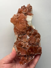 Load image into Gallery viewer, Rare Red Apophyllite + Druzy Red Stilbite Flowers — Deccan Traps, India
