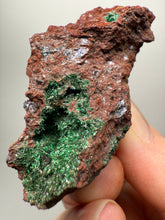 Load image into Gallery viewer, Brochantite Collector Mineral Specimen – Vivid Green Copper Crystals from Morocco
