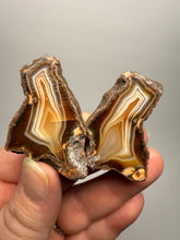 Load image into Gallery viewer, High-Grade Indonesian Sumatra Agate Pair – Vibrant Banded Chalcedony with Rich Color Zoning | Ethical Lapidary &amp; Collector Display Specimens
