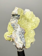 Load image into Gallery viewer, Vibrant Yellow Brucite Thumbnail Mineral Specimen | Collector Crystal from Killa Saifullah District in Balochistan Province, Pakistan
