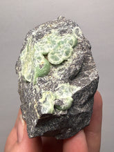 Load image into Gallery viewer, High-Grade Green Wavellite Collectors Specimen - Radiating Botryoidal Crystal Formation - Arkansas, USA
