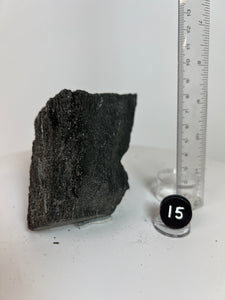 Black Druzy Petrified Wood from Indonesia