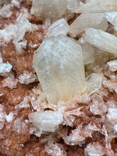Load image into Gallery viewer, Shiny Peach Stilbite on Druzy Red Heulandite – High-Grade Collector Mineral Specimen from India
