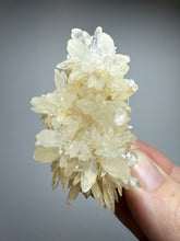 Load image into Gallery viewer, High-Grade Coral Aragonite Crystal Specimen – Wenshan Mine, Yunnan, China
