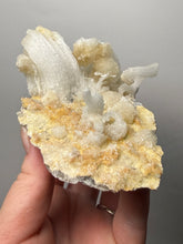 Load image into Gallery viewer, Moroccan Ram’s Horn Selenite (Gypsum) Crystal Display Specimen
