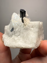 Load image into Gallery viewer, Dark Green Cap Stak Nala Tourmaline on Cleavelandite Matrix – Haramosh Mountains, Pakistan
