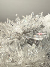 Load image into Gallery viewer, High-Grade Chrysanthemum Quartz (Needle Quartz) Spray Cluster | Jiangxi, China
