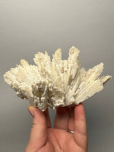 Load image into Gallery viewer, Rare Natural Anhydrite Collector Mineral Specimen | Brazil
