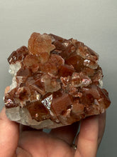 Load image into Gallery viewer, Rare Red Apophyllite + Druzy Red Stilbite Flowers — Deccan Traps, India

