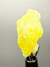 Load image into Gallery viewer, Vibrant Yellow Brucite Thumbnail Mineral Specimen | Collector Crystal from Killa Saifullah District in Balochistan Province, Pakistan
