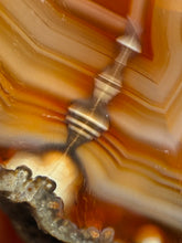 Load image into Gallery viewer, High-Grade Indonesian Sumatra Agate Pair – Vibrant Banded Chalcedony with Rich Color Zoning | Ethical Lapidary &amp; Collector Display Specimens
