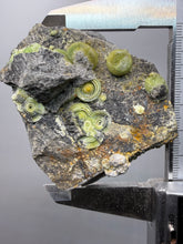 Load image into Gallery viewer, High-Grade Green Wavellite Collectors Specimen - Radiating Botryoidal Crystal Formation - Arkansas, USA

