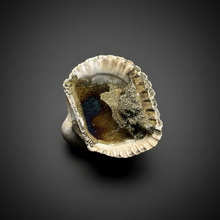 Load image into Gallery viewer, Bivalve (Pelecypoda) Fossil Sea Shell with Chalcopyrite | Mineralized Fossil Specimen | Indonesia
