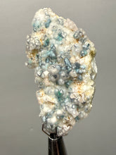 Load image into Gallery viewer, Blue-Green Chrysocolla in Botryoidal Chalcedony Cabinet Specimen | Indonesia
