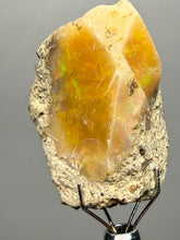 Load image into Gallery viewer, Precious Opal with Color Play | Welo, Ethiopia
