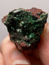 Load image into Gallery viewer, Brochantite Collector Mineral Specimen – Vivid Green Copper Crystals from Morocco
