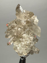 Load image into Gallery viewer, Smoky Quartz Crystal Specimen | Natural Collector Mineral – Brazil
