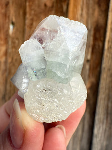 Mint Green Apophyllite w Red Phantom • Maharashtra, India