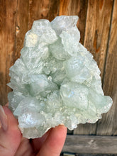 Load image into Gallery viewer, Mint Green Apophyllite Cluster • Maharashtra, India
