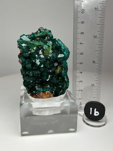 Dioptase Cluster from Congo • High Grade • Mineral Collector’s Specimen Showpiece