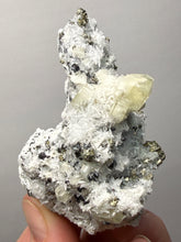 Load image into Gallery viewer, 2.7” New Find: Huanzala Mine Peru Sphalerite + Chalcopyrite + Apatite + Calcite + Quartz | Collector Display Specimen
