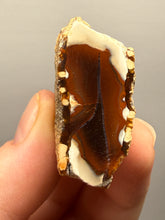 Load image into Gallery viewer, Premium Sumatra Agate (Banded Chalcedony) Display Specimen | Indonesia
