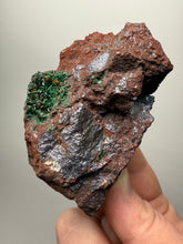 Load image into Gallery viewer, Brochantite Collector Mineral Specimen – Vivid Green Copper Crystals from Morocco
