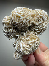 Load image into Gallery viewer, Desert Rose Selenite (Gypsum) — Mineral Display Specimen | Mexico
