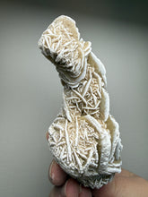 Load image into Gallery viewer, Desert Rose Selenite (Gypsum) — Mineral Display Specimen | Mexico
