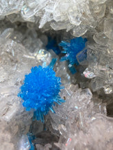 Load image into Gallery viewer, Rare Electric Blue Pentagonite &amp; Cavansite on Druzy Matrix | Collector Mineral Specimen | Wagholi Quarry, India
