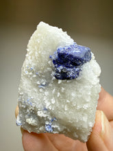 Load image into Gallery viewer, Afghan Lazurite Specimen | Deep Blue Lapis-Grade Crystal on Matrix | Collector Display Mineral
