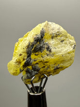 Load image into Gallery viewer, Vibrant Yellow Brucite Thumbnail Mineral Specimen | Collector Crystal from Killa Saifullah District in Balochistan Province, Pakistan

