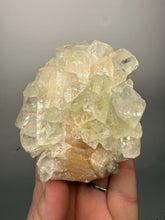 Load image into Gallery viewer, High-Grade Light Green Apophyllite on Pink Stilbite Zeolite | Indian Collector Mineral Specimen
