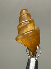 Load image into Gallery viewer, Agatized Gastropod Fossil Specimen | Morocco
