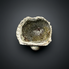 Load image into Gallery viewer, Bivalve (Pelecypoda) Fossil Sea Shell with Chalcopyrite | Mineralized Fossil Specimen | Indonesia
