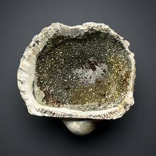 Load image into Gallery viewer, Bivalve (Pelecypoda) Fossil Sea Shell with Chalcopyrite | Mineralized Fossil Specimen | Indonesia
