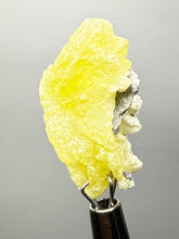 Load image into Gallery viewer, Vibrant Yellow Brucite Thumbnail Mineral Specimen | Collector Crystal from Killa Saifullah District in Balochistan Province, Pakistan
