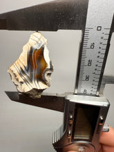 Load image into Gallery viewer, High-Grade Indonesian Sumatra Agate Pair – Vibrant Banded Chalcedony with Rich Color Zoning | Ethical Lapidary &amp; Collector Display Specimens
