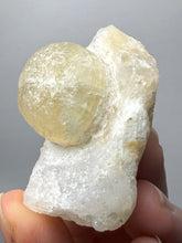 Load image into Gallery viewer, Rare Botryoidal Yellow Fluorite on Quartz Matrix  Collector Mineral Specimen – Maharashtra, India
