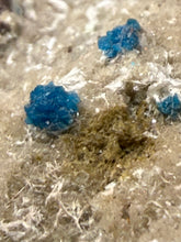 Load image into Gallery viewer, Rare Electric Blue Pentagonite &amp; Cavansite on Druzy Matrix | Collector Mineral Specimen | Wagholi Quarry, India
